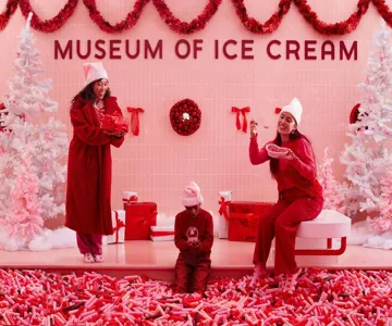 Ice Cream Museum Austin: Entry Ticket